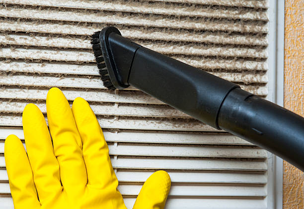 Best Professional Duct Cleaning Services  in Garden City South, NY